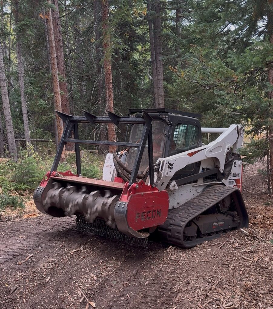 Trusted Forestry Mulching in Aspen, CO | Bear Claw Fire Mitigation