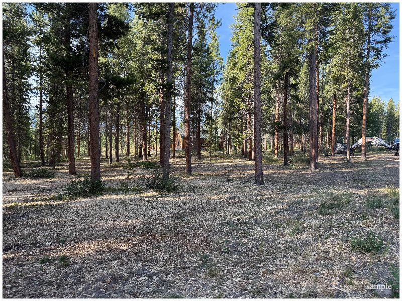 Defensible Space​ Near Me