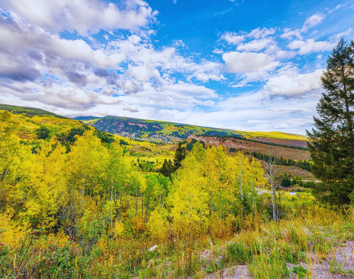 Autumn fall foliage colors near Minturn, Eagle County, CO