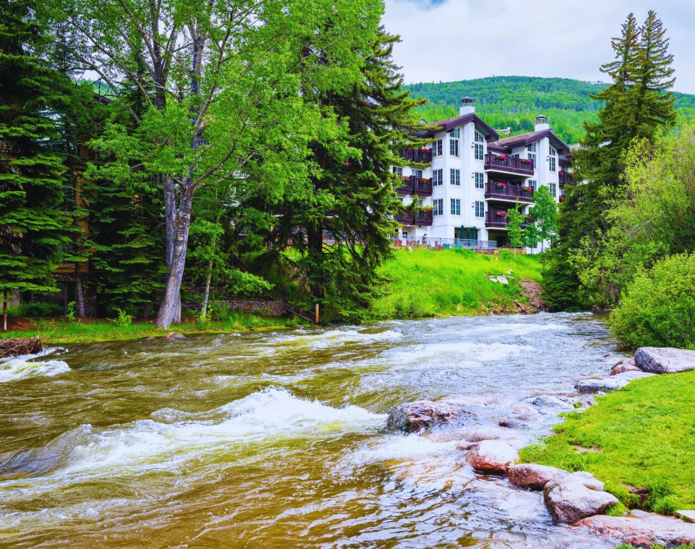 Summer with mountain forest in background, Vail, CO