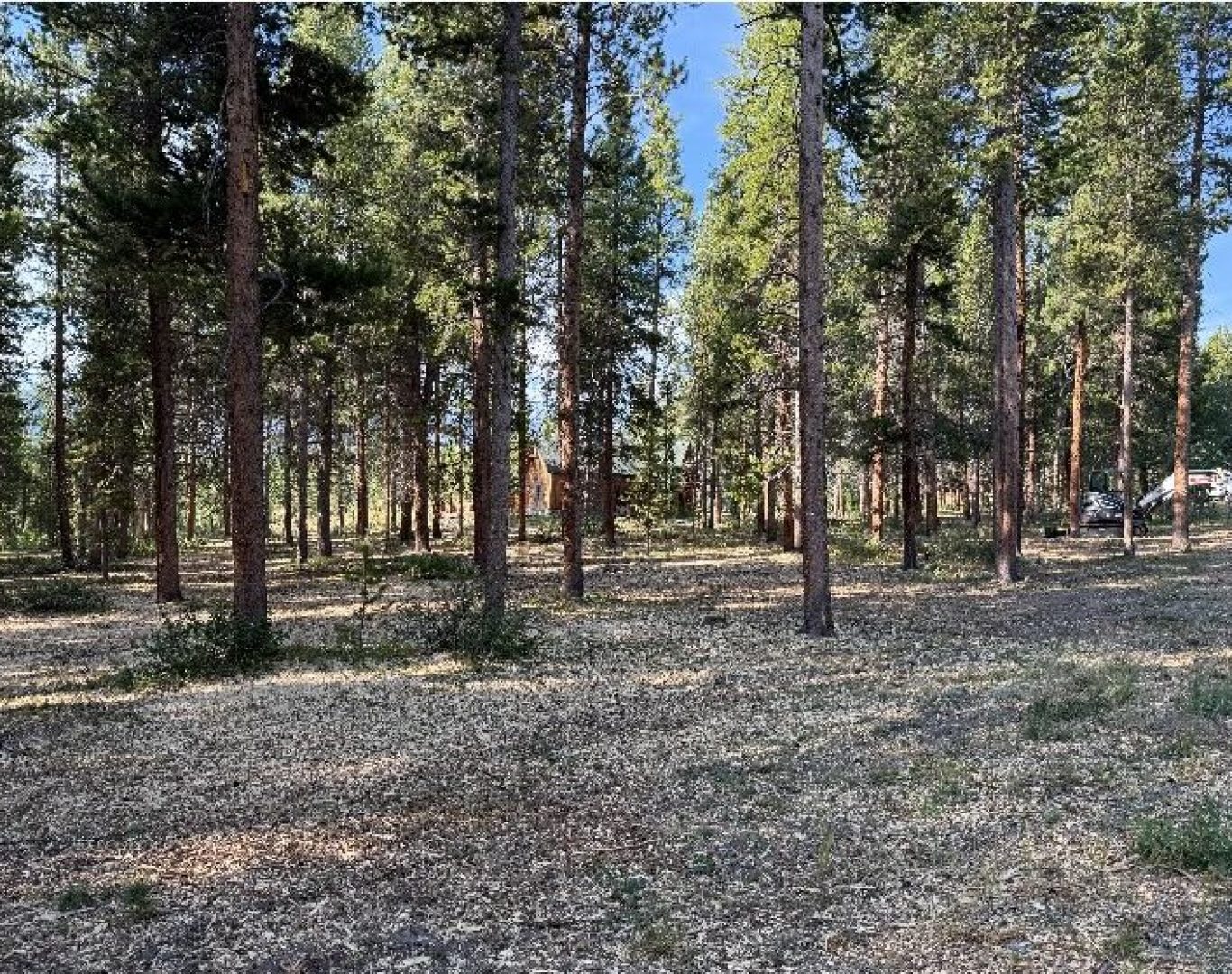 Fire Mitigation Services in Dillon, CO protecting mountain and lakeside homes