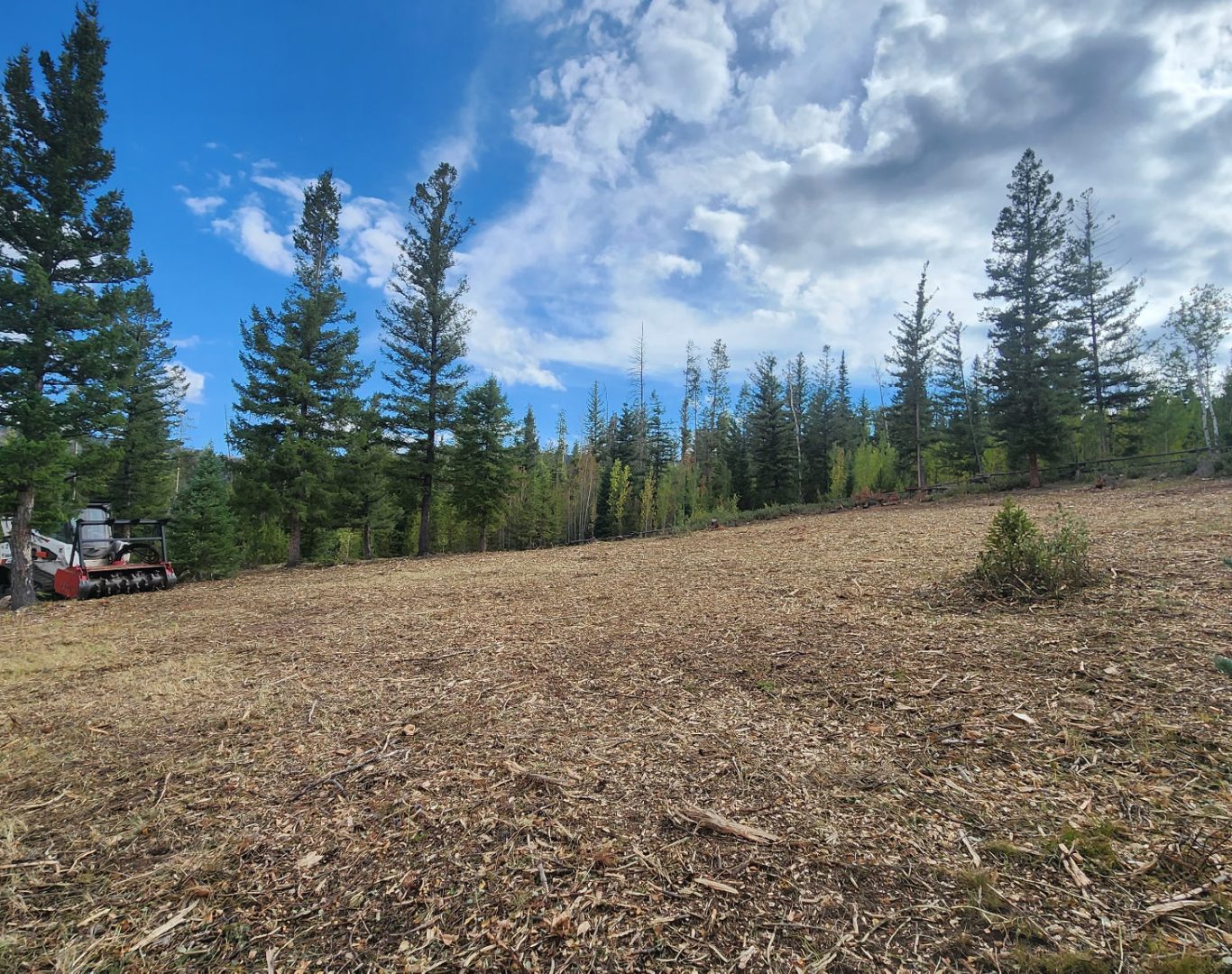 Fire Mitigation Services in Silverthorne, CO protecting mountain homes near forests