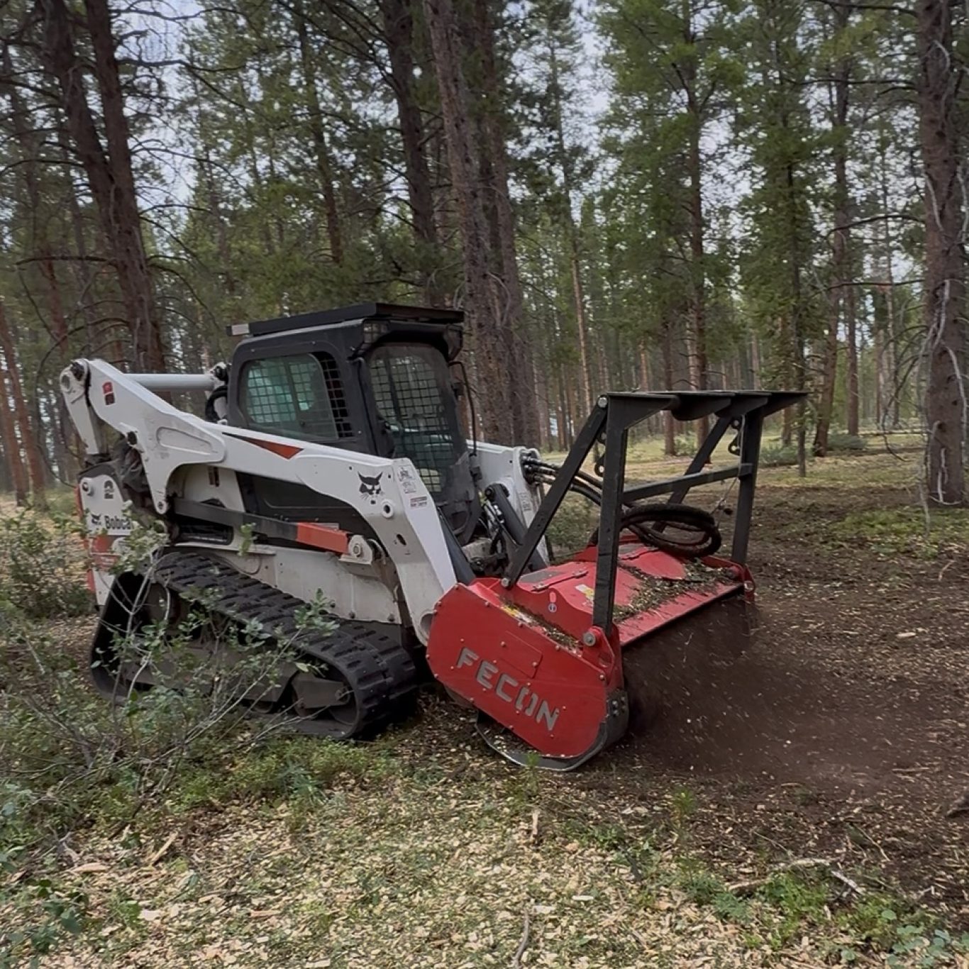 Forestry mulching in Basalt, CO clearing overgrown vegetation safely