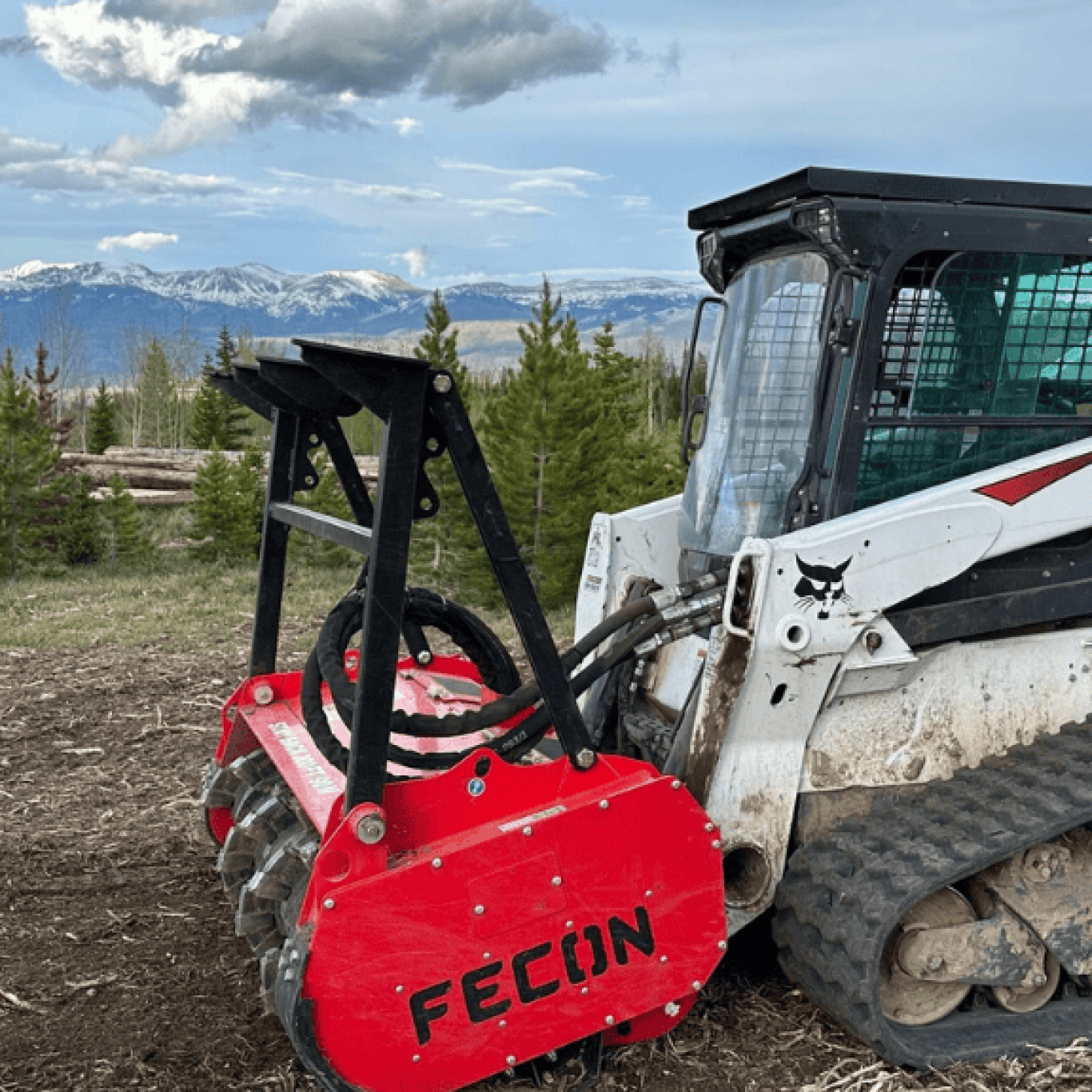 Forestry mulching in Vail, CO clearing dense forest undergrowth safely