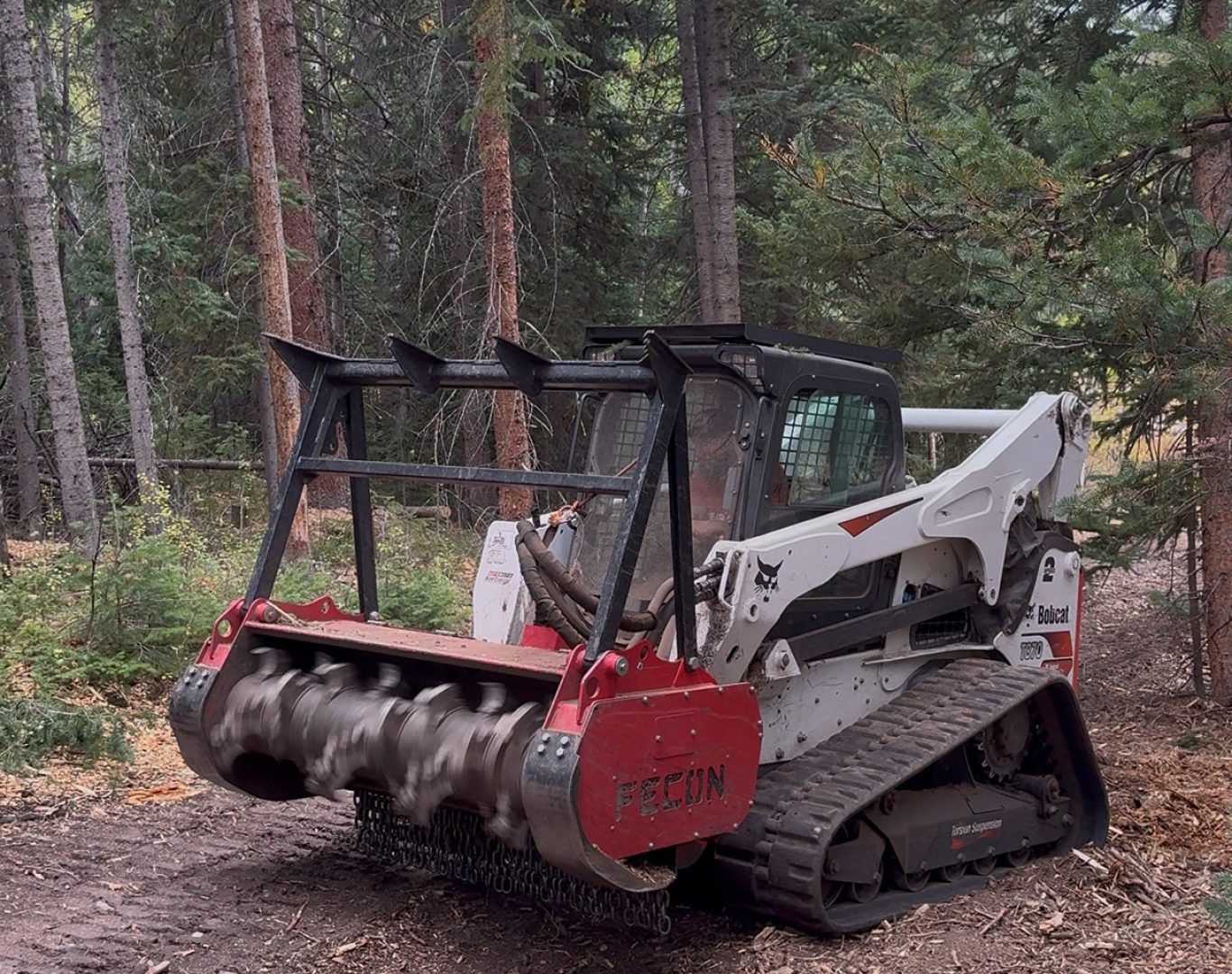 Fire Mitigation Services in Gypsum, CO protecting foothill properties