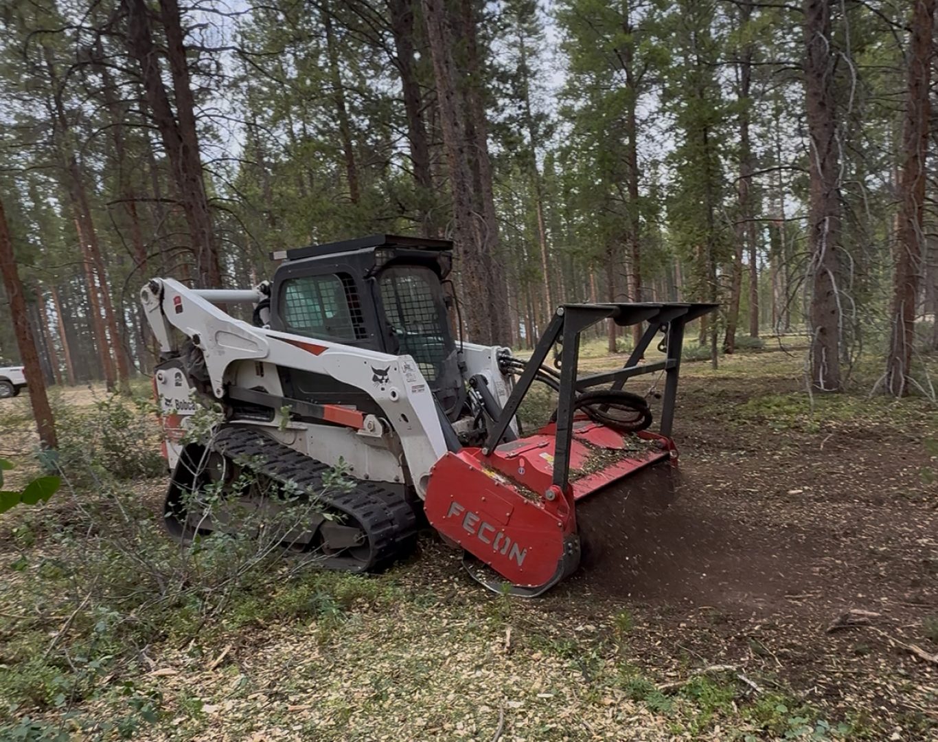 Fire Mitigation Services in Avon, CO protecting mountain homes
